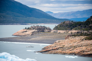 辟邪旺宅旺财植物花卉