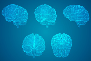 张贞观文言文阅读