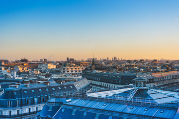 辟邪旺宅旺财植物花卉