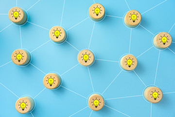 辟邪旺宅旺财植物花卉