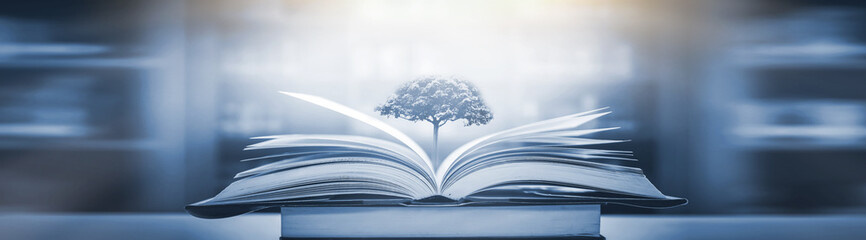 小学语文核心素养的四个维度是什么？