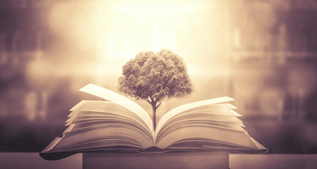 简述对幼儿园孩子进行海姆立克急救法的基本操作电大