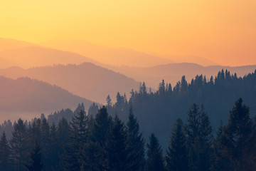 我能照样子写词语还能选一个词语写一句话