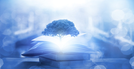 保护地球手抄报简单漂亮精选8张