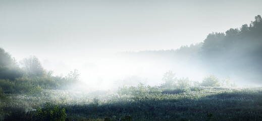 保护地球手抄报简单漂亮精选8张