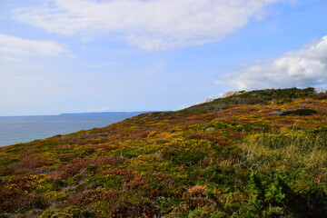 小学语文核心素养的四个维度是什么？