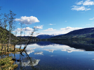 我能照样子写词语还能选一个词语写一句话