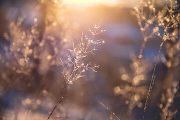 我能照样子写词语还能选一个词语写一句话