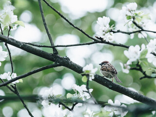 公共英语备忘录和便笺如何写？