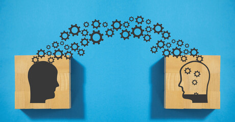 辟邪旺宅旺财植物花卉