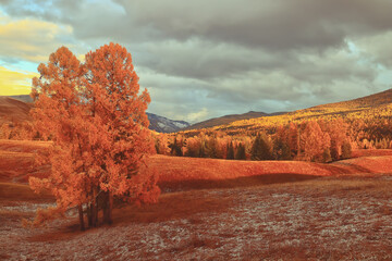 保护地球手抄报简单漂亮精选8张