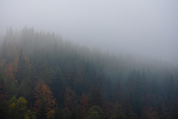 求因为好奇心而发明出东西的科学家