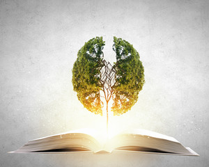 求因为好奇心而发明出东西的科学家