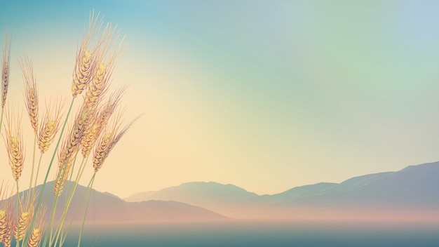 辟邪旺宅旺财植物花卉