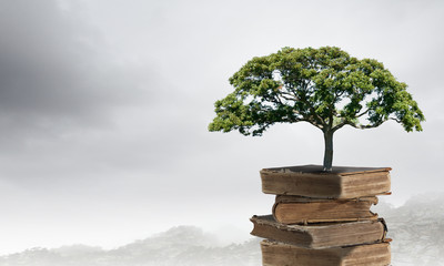 中国古代科举制度