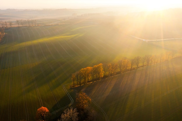 小学语文核心素养的四个维度是什么？