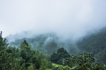 求因为好奇心而发明出东西的科学家